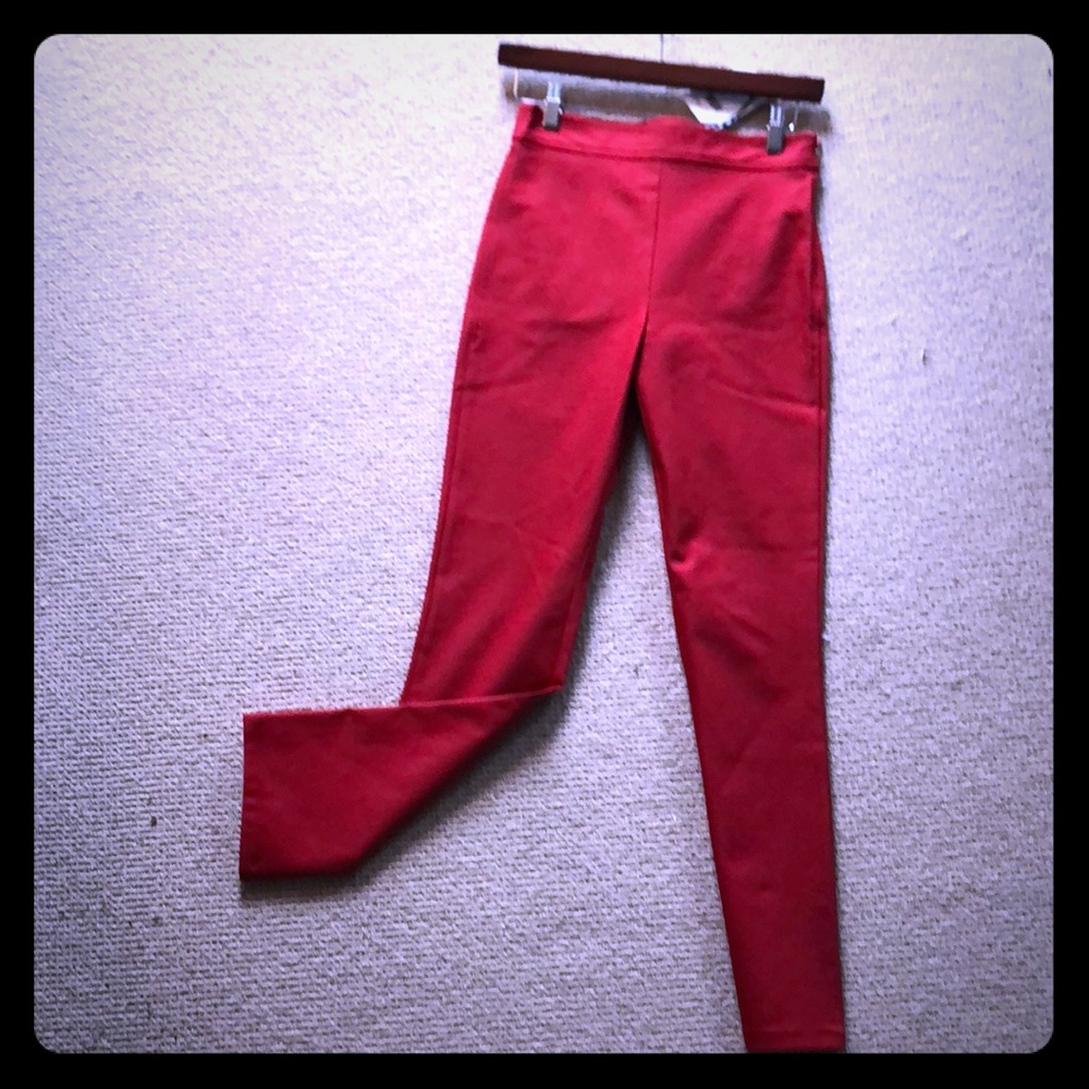 Theory pant brand new